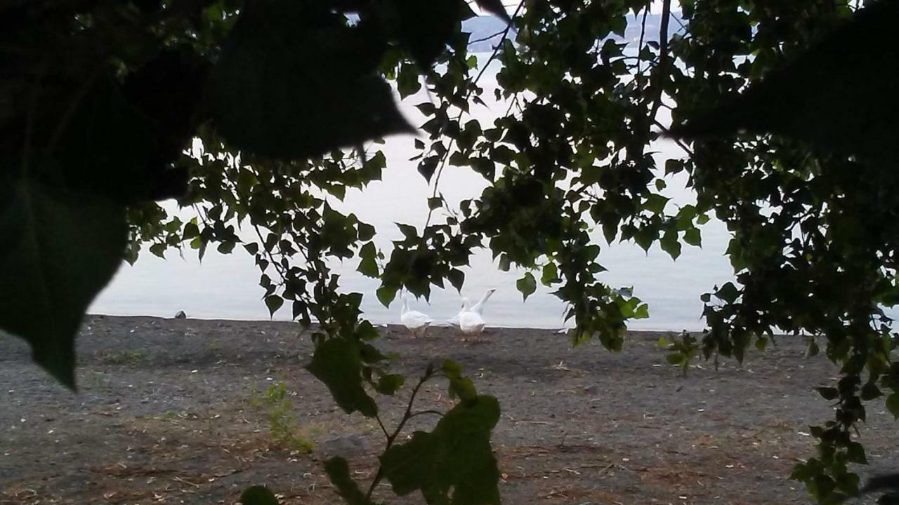 Alloggio Turistico D'Annunzio Bracciano  Dış mekan fotoğraf